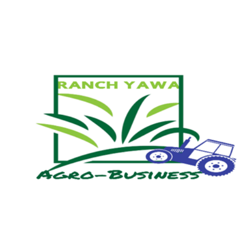 Ranchyawa